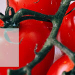 Bild von reifen Tomaten, darauf ein Banner mit dem Text "Besser als Ketchup"